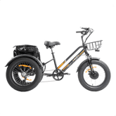 MG1703-ZEUS 3 Wheel Fat Tire Electric Trike - DWMEIGI