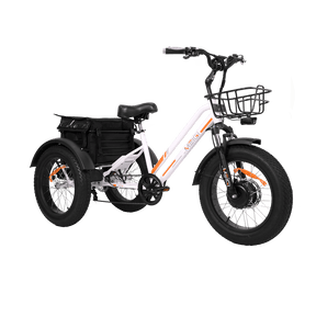 3 wheel bicycle with engine 3 Wheel 500W Fat Tire Electric Trike