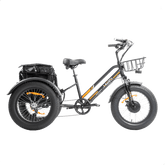 MG1703-ZEUS 500W Fat Tire Electric Trike - DWMEIGI